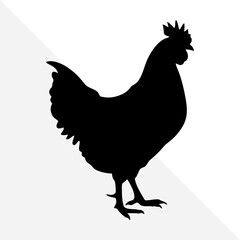 Farm Chicken Silhouette Illustration – White Background