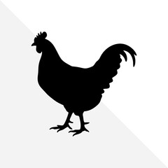 Chicken Silhouette on Clean White Background