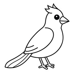 Fototapeta premium Northern Cardinal illustration white background