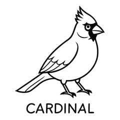 Fototapeta premium Northern Cardinal illustration white background