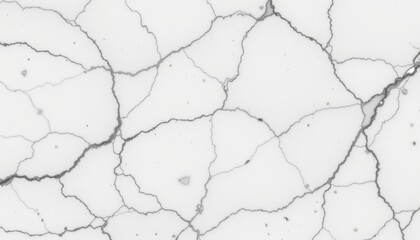 Obraz premium Abstract White Marble Texture with Black Veins and Cracks for Stylish Design and Background Use