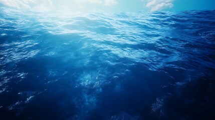 Fototapeta premium Deep ocean underwater scene