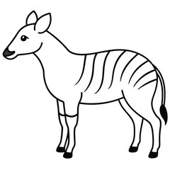 Obraz premium Okapi vector illustration white background