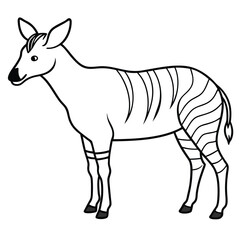 Fototapeta premium Okapi vector illustration white background