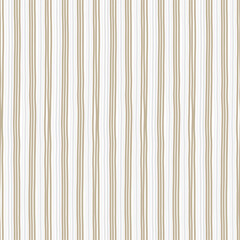 Obraz premium line stripe pattern background banner