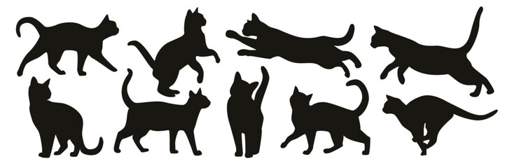 silhouette Pose Of Cat
