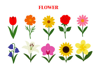 a collection of various kinds of flowers that can be used as design ornaments. very cute and has bright colors.