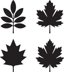 Fototapeta premium Set of four unique silhouette leaf icons isolated on white background vector illustration