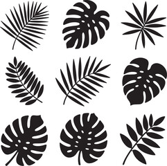 Tropical leaves vector silhouette set different palm fronds monstera illustrations