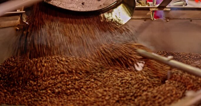 Dark roasted espresso beans are seen dropping from the drum roaster into the cooling tray. Steam rises as the beans release heat, captured in a high-heat artisanal roasting process.