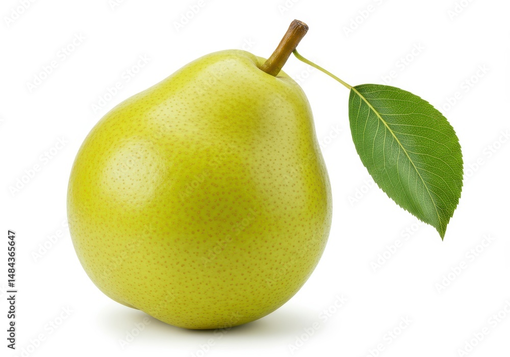 Poster a single green pear with a leaf and stem is isolated on a white background in a studio shot