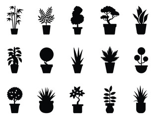 Collection of silhouettes of various houseplants in pots isolated on white background