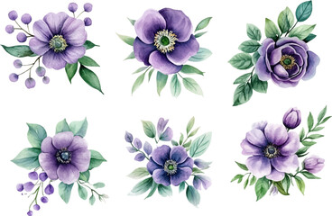 set of watercolor flowers