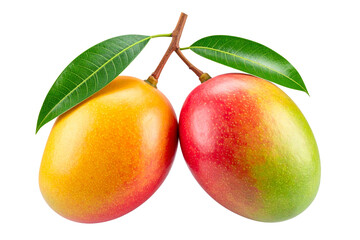Two Mango hanging on the branch, isolated on a transparent background