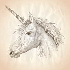 Unicorn profile portrait graphic vector illustration, classic hand drawn sketch on a paper