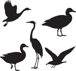 Bird Silhouettes Collection