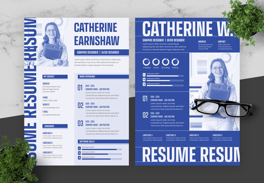 Blue And Grey Resume