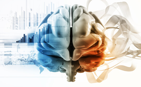 left and right brain functions