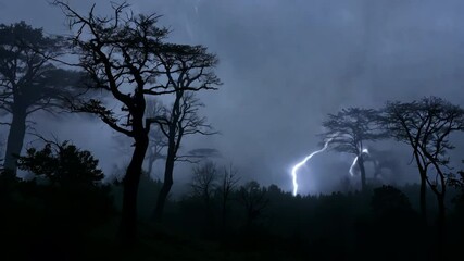 Rainbow arcs over dark storm clouds, a dramatic sky above a forest landscape at sunset - Powered by Adobe