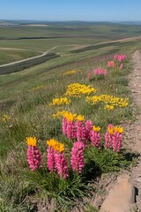 Obraz premium Wildflower Tapestry on a Hillside Overlooking Expansive Green Fields
