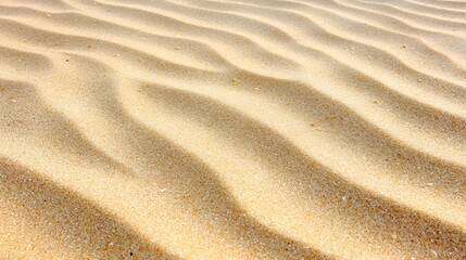 Fototapeta premium Smooth Golden Sand Waves Under Bright Sunlight on a Beautiful Day