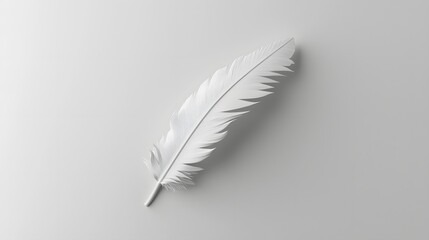 Elegant White Feather on Minimalist Background for Home Decor and Creative Designs