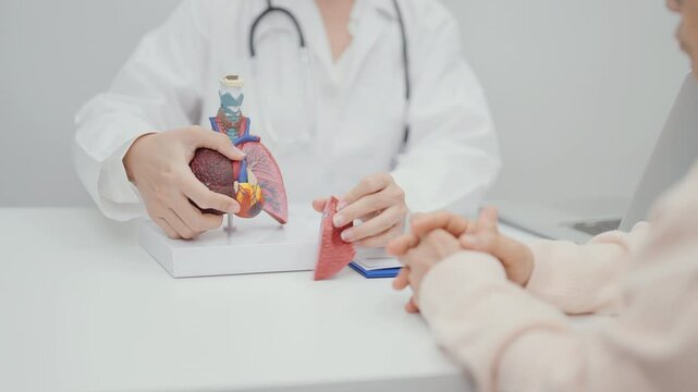 Doctor with Respiratory system. Elderly Patient consultation medical health for Lung Cancer, Asthma, Chronic Obstructive Pulmonary, Bronchitis, Emphysema, Cystic Fibrosis, Bronchiectasis, Pneumonia