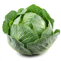 Fototapeta premium Fresh green cabbage with cut in half isolated on white background