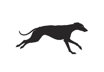 Running Greyhound Silhouette with Curled Tail and Streamlined Body