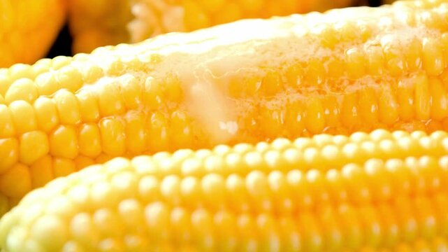 Close-up of Buttered Cooked Corn on the Cob