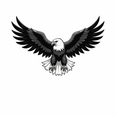 Obraz premium Majestic Eagle Spread Wings Flying Freedom Nature Monochrome