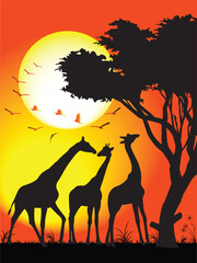 Naklejka premium GIRAFFES AT SUNSET