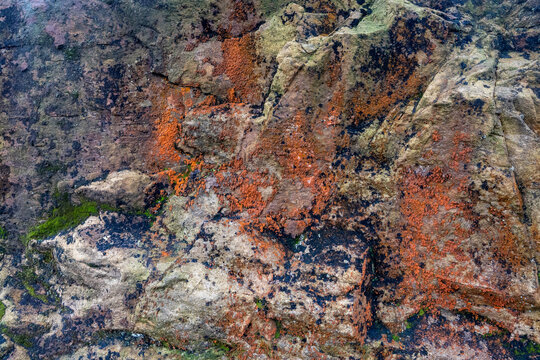 orange, green, and black, creating an intricate natural pattern. The weathered texture and varied colors suggest a rich history of geological processes.