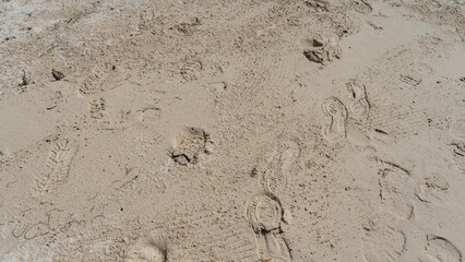 The surface of the sandy beach. Top view. There are shoe prints on the wet sand. A tiny sand bubbler crab lurked. The arthropod is almost invisible due to its camouflage coloration. Mauritius.