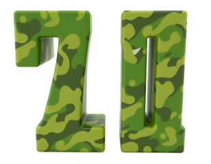 3D Camouflage Numbers 2 and 0