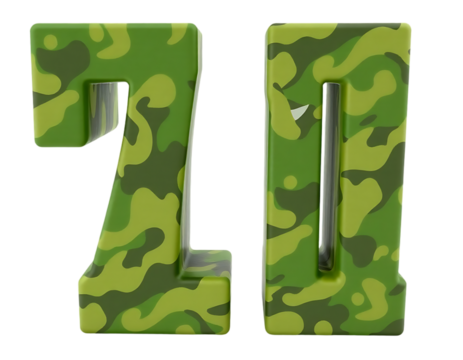 3D Camouflage Numbers 2 and 0