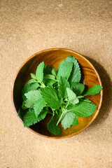 harvesting of lemon balm leaves to make a relaxation herb tea