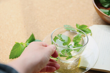 preparing of herb tea with fresh lemon balm leaves