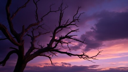 Eerie Silhouette of a Twisted Dead Tree Against a Vivid Purple and Orange Sunset Sky, Capturing Themes of Decay and Transition : Generative AI