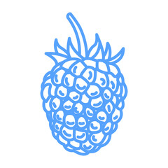 raspberry icon blue
