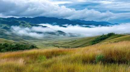 Obraz premium Blowing in the wind with sunrise over foggy meadow hill concept. Stunning view of mountains and vibrant green fields under blue sky.