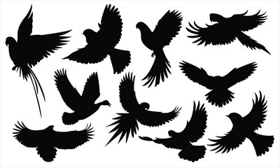 Black vector silhouettes of flying birds and wings in a simple wildlife icon set