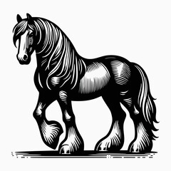 Dynamic Horse Illustration in Bold Engraving Style Featuring Rearing Stallion Perfect for Tattoo Design Poster and Farm Branding