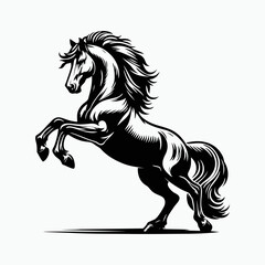Dramatic Black and White Horse Illustration in Vintage Woodcut Style with Rearing Stallion for Tattoo Poster and Farm Animal Theme Branding