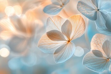 Soft pastel hydrangeas with bokeh background