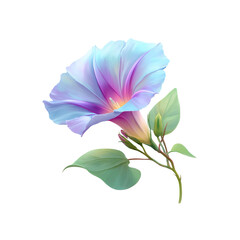 Fototapeta premium Ethereal Pastel Morning Glory A Delicate Floral Illustration