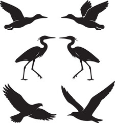 Fototapeta premium Flying and Standing Bird Silhouettes