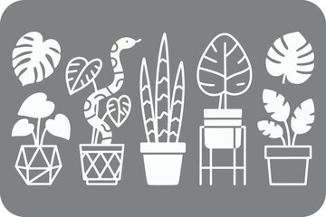 Collection of Stylish Houseplants in Geometric Pots and Plant Stands