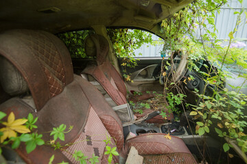 The interior of an abandoned vehicle surrounded by greenery