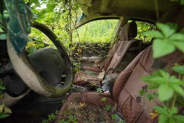The interior of an abandoned vehicle surrounded by greenery